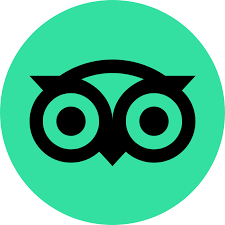 Tripadvisor Reviews