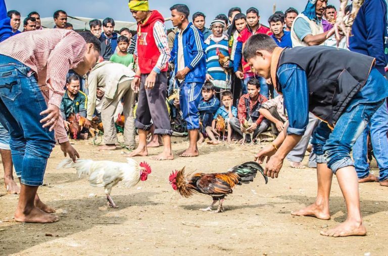 JONBEEL MELA - Experience Barter System