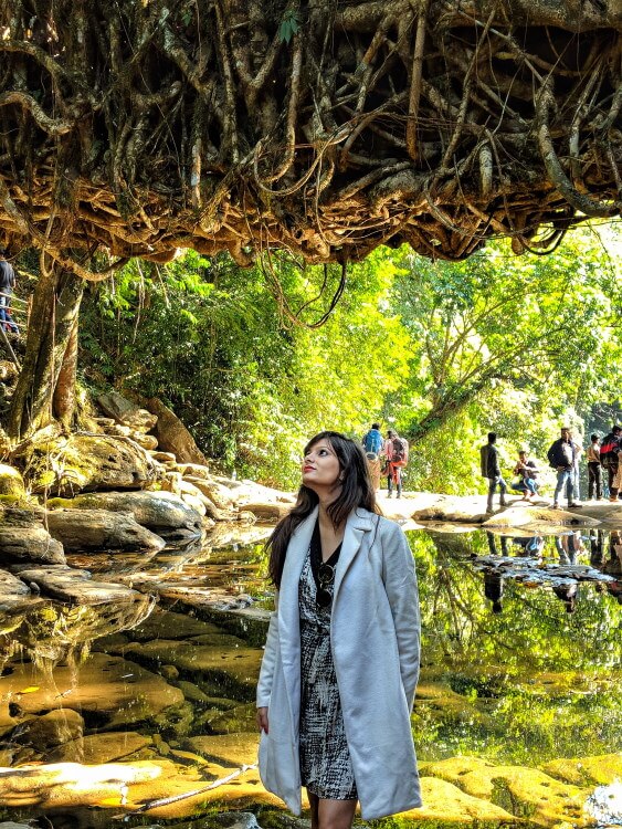 Living Roots Bridge