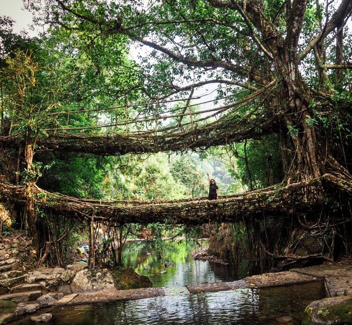 Double decker root bridges of Cherrapunjee