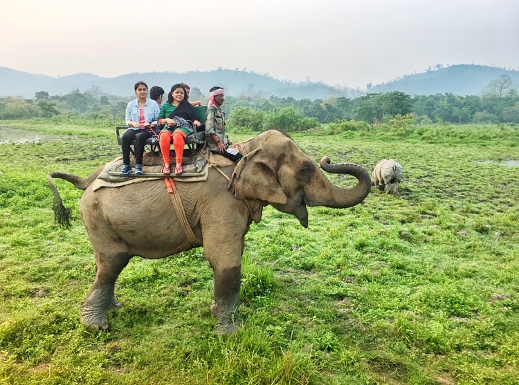 Kaziranga