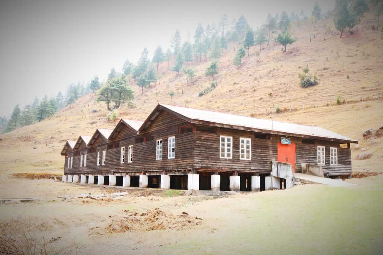 Sheep farm at Sangti